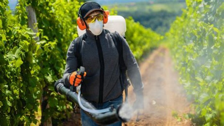 diamondsb.ag login safely, analysis & comments