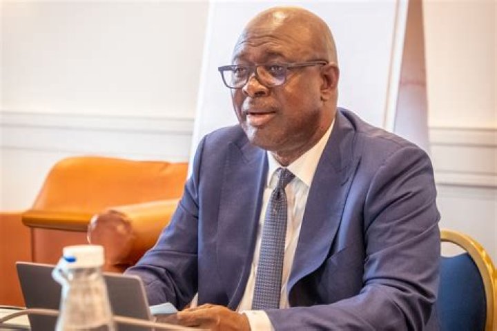 Tinubu's Ministerial Nominee Heineken Lokpobiri: Mixing Politics and Poultry – Is He a Fowl Player?