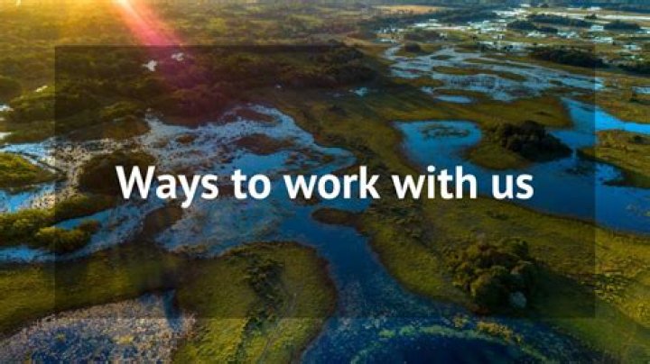 Ways To Work With Us | Ways To Work With Us